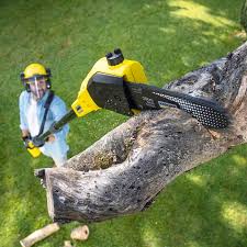 Best Lawn Watering Services  in Ball Ground, GA